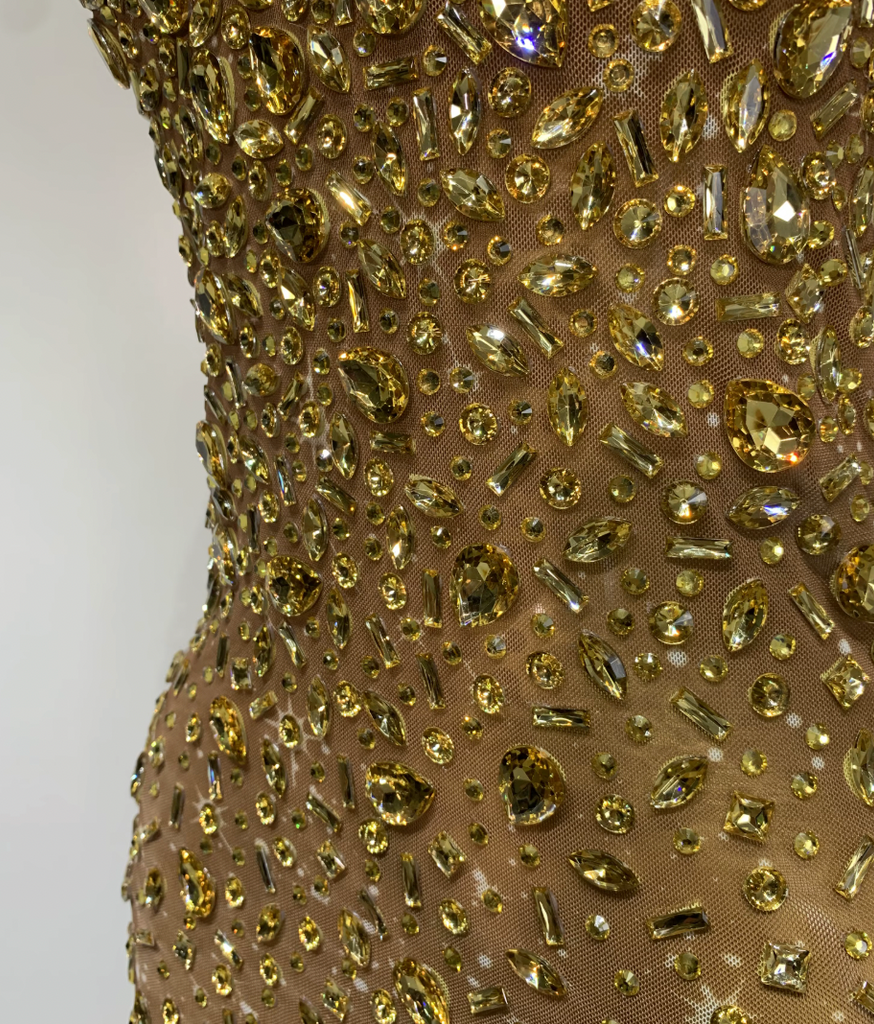LANCE EMBELLISHED MESH GOWN